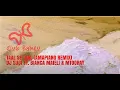 Download Lagu Taal Se Taal Mila - Amapiano Mix feat. DJ SUDI, Bianca Maieli \u0026 MTooray