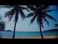Best of Hawaiian Slack Key Guitar | 3 Hours of Hawaiian Music to Study, Work or Relax