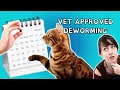 The ONLY Cat Deworming Schedule You Need VET ADVICE