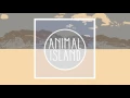 Download Lagu Tonight (Official Audio) | Animal Island