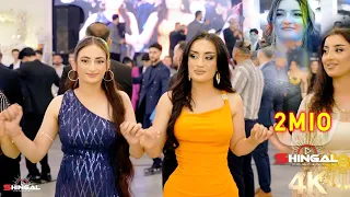 Honar Kandali Naji Shingaly By Shingal Company 