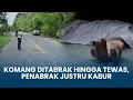 Lagu Komang Rendi Ditabrak hingga Tewas di Gerokgak, Penabrak justru Kabur, Polisi Buru Pelaku