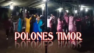 Download POLONES TIMOR | 2020 MP3