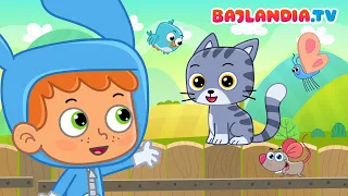 Wlazł Kotek Na Płotek 🐱 | Piosenka dla dzieci 🎵 | Bajlandia TV