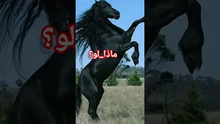ماذا لو اعتلى ظهر الجياد ذباب اكسبلور ماذا لو تفكر Shorts تساؤلات لايك اشتراك 