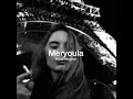Download Lagu Meryoula - flenn (slowed+reverb)