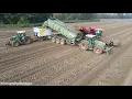 Lagu 2 x Dewulf Kwatro / Fendt 942 S5 Design Line / Dezeure /Arrachage de Pommes de Terre 2021🥔🥔[Mydibel]