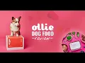 Ollie Pet Food - Ollie Pet Food Review