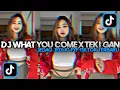 Download Lagu DJ WHAT YOU COME X TEKI TEKI GAN PARGOYA || JEDAG JEDUG SLOW BAS FYP TIKTOK by kelud musik