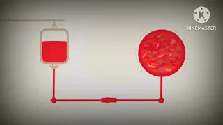 نموذج عن مشروع اهمية التبرع بالدم السنة الرابعة متوسط 4 