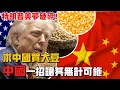 Download Lagu 特朗普美夢破碎！求中國買大豆，中國一招讓其無計可施