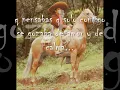 me importa poco - antonio aguilar.wmv