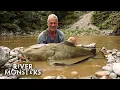 Download Lagu The BIGGEST FISH caught in Season 1 of River Monsters