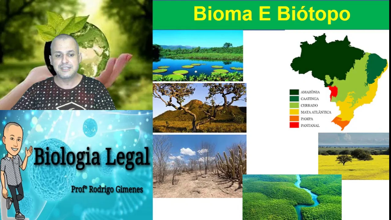Conceitos Básicos De Ecologia | Espécie, População, Comunidade Biológica e Biosfera