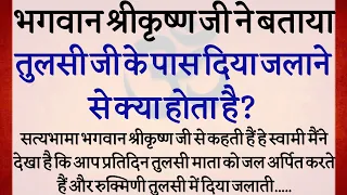 कार्तिक मास में तुलसी में जल देने और तुलसी में दिया जलाने से कौन सा फल मिलता है | Tulsi Katha 