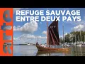 Download Lagu Une lagune à l’écosystème foisonnant | L’estuaire du fleuve Oder | ARTE Family