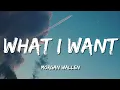 Morgan Wallen - What I Want (feat. Tate McRae) (Lyric Video)