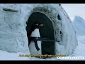 Democratic Penguins Republic - Trade War (Official Music Video)