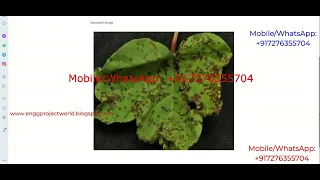 Cotton Leaf Disease Identification Using Image Processing Python Project With Source Code