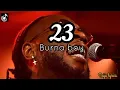 Download Lagu 23 by Burna boy (Lyrics video)