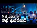 Lagu මල් ලස්සනයි - Mal Lassanayi (Cover ) | @marianssl  Acoustica Concert