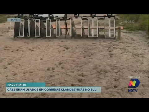 Cinco pessoas são presas após serem flagradas promovendo corrida clandestina de cães em Araranguá