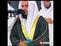 Download Lagu ✨Heart Melting Recitation ✨ || Mishary Rashid Alafasy ||Mujeeb official 😴😴
