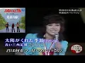 「太陽がくれた季節」　青い三角定規