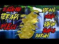 Download Lagu RAJANYA terapi pleci agar rajin bunyi setiap hari