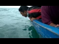Download Lagu Mabuk di tengah laut naik kapal