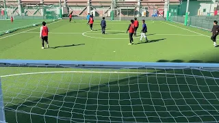                                دندنها