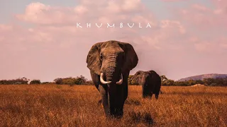 master fale ameshai khumbula hood natives legacy remix 