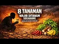 Lagu TANAM SEKARANG! 8 Tanaman Wajib Ditanam Sekarang Sebelum Krisis Pangan Terjadi