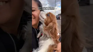 Being a Fur Mom Makes the Lonely Days Brighter