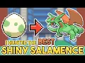 How I found the PERFECT Shiny Salamence in Gen 3