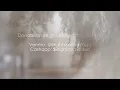 1 Hour BROWN NOISE 💭 for FOCUS, SLEEP, AND COMFORT ✨ *no music*