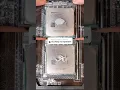 Download Lagu Cheap vs. Expensive thermal paste #shorts