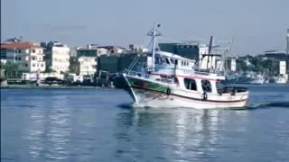 بحبك يا مصر فايزه أحمد 