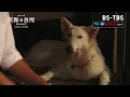 BS‐TBS【天狗の台所 Ｓｅａｓｏｎ２】出演：駒木根葵汰・塩野瑛久・越山敬達▼第二話「夏野菜とゴーヤ」
