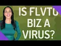 Is Flvto biz a virus