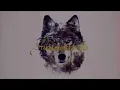 Tim Schaufert - Beginnings