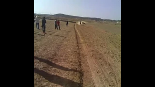 الفراشيش الأمازيغ الأحرار 