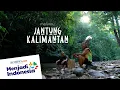 Download Lagu Menjaga Hutan di Malinau, Jantung Kalimantan dan Paru-paru Dunia | MENJADI INDONESIA