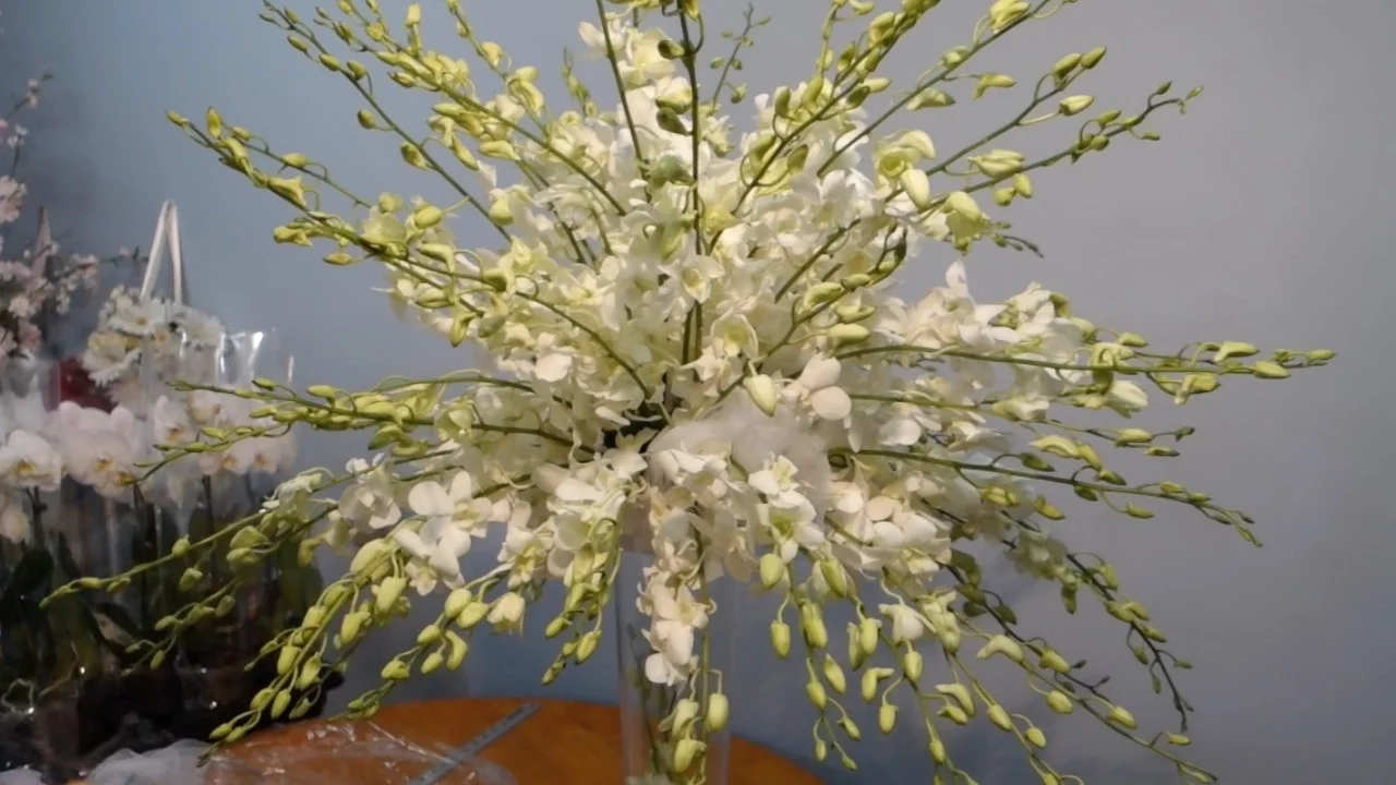 HOW TO CREATE A DENDROBIUM ORCHID TREE ARRANGEMENT