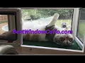 Window Catio for Indoor Cats Easy No Drill Cat Window Box