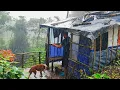 Download Lagu Bertahan Hidup Di hutan Mengurus Tanaman Kopi Untuk Masa Depan - Di Guyur Hujan Deras Kedinginan