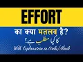 Effort Meaning in Hindi Effort Ka Kya Matlab Hota Hai Explanation Included