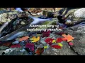 Download Lagu Dulce - Dahong Laya (With Lyrics)