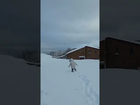 karlar ülkesi❄️