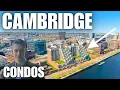 Cambridge Condo Buildings Luxury Living in Cambridge MA